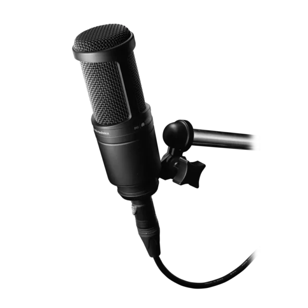 Audio Technica AT2020 - 2